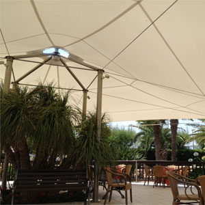 Plants: image 1 0f 8 thumb